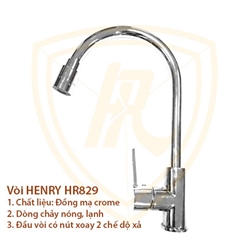 Henry HR829
