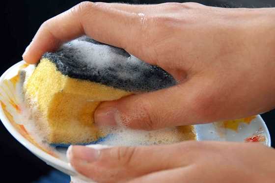 Hết hồn v&igrave; độ bẩn của miếng bọt biển rửa b&aacute;t, vậy rửa b&aacute;t thế n&agrave;o cho
