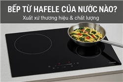 Bếp Từ Hafele Của Nước Nào? Xuất Xứ Thương Hiệu & Chất Lượng Ra Sao