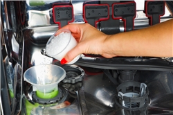 Cách đổ muối vào máy rửa bát Bosch