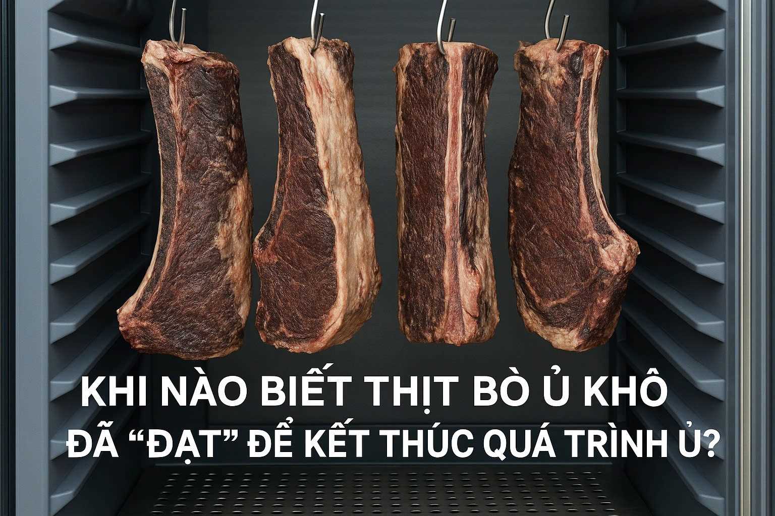 Khi nào biết thịt “đạt” để kết thúc ủ?