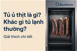 Tủ ủ thịt là gì? Khác gì tủ lạnh thường?