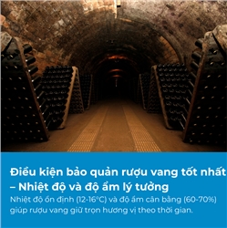 Điều kiện bảo quản rượu vang tốt nhất – Nhiệt độ và độ ẩm lý tưởng