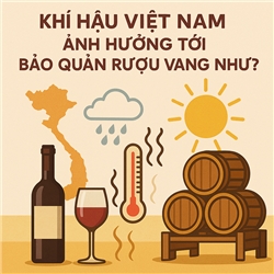 Khí hậu Việt Nam và thách thức trong bảo quản rượu vang