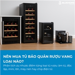 Nên mua tủ bảo quản rượu vang loại nào?