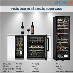 Các loại tủ bảo quản rượu vang trên thị trường và cách phân biệt