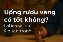 Uống rượu vang có tốt không? Lợi ích và lưu ý quan trọng