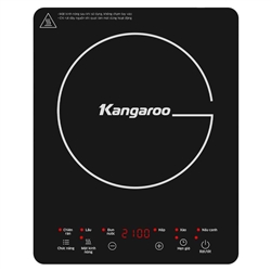 Kangaroo KG20IH10N