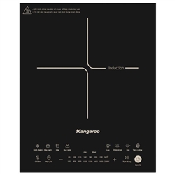 Kangaroo KGIC22S2