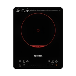 Toshiba IC-20S1PV