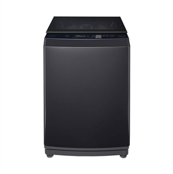 Toshiba AW-DM1100PV(KK)