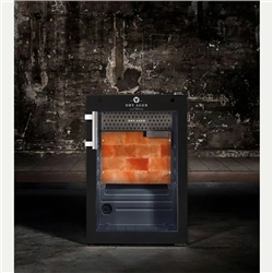 Dry Ager DX 500 Premium S with DX-LED Salt Wall
