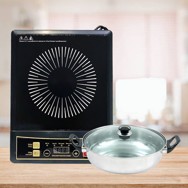 Công suất, mặt kính và quạt tản nhiệt của bếp từ đơn