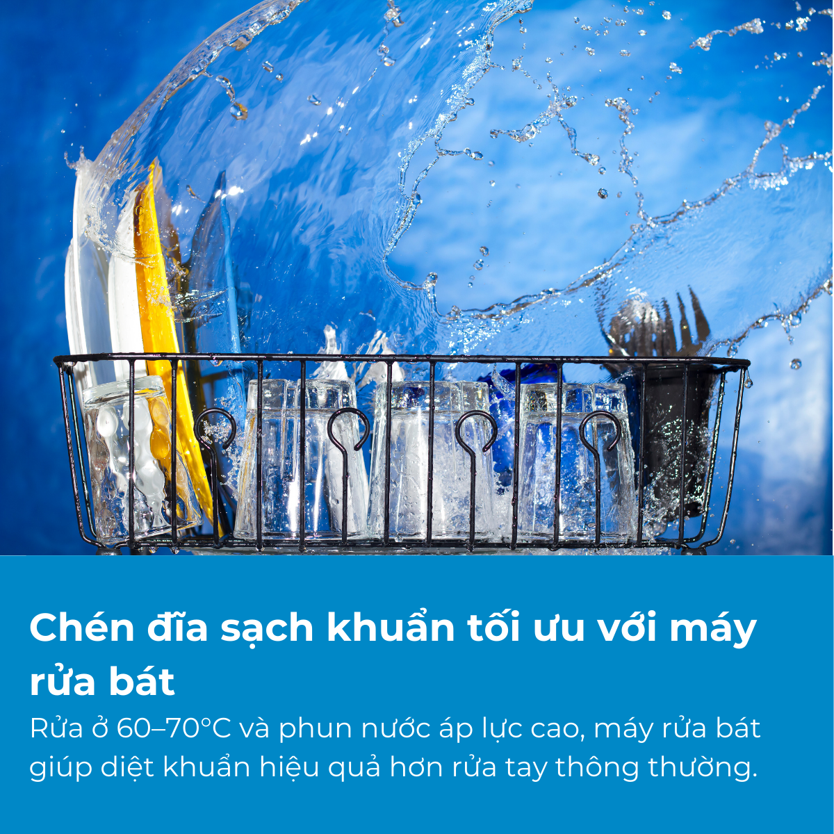 Tia nước nóng phun áp lực từ dưới lên giúp loại bỏ cặn bẩn và tiêu diệt vi khuẩn hiệu quả trong mỗi chu trình rửa.
