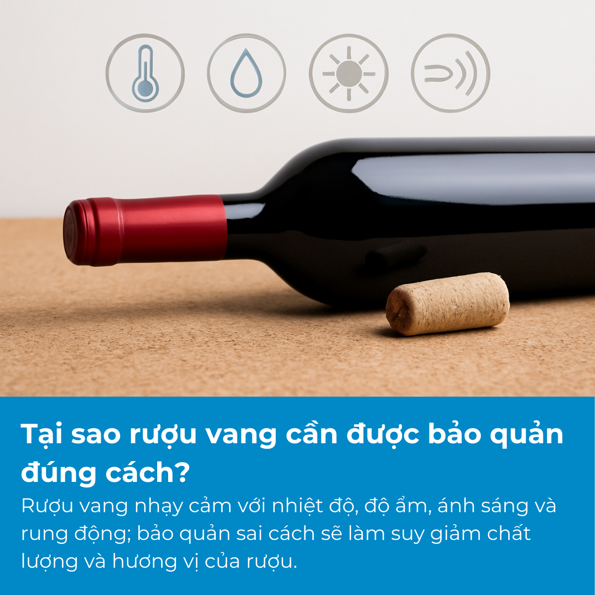 Tại sao rượu vang cần được bảo quản đúng cách?