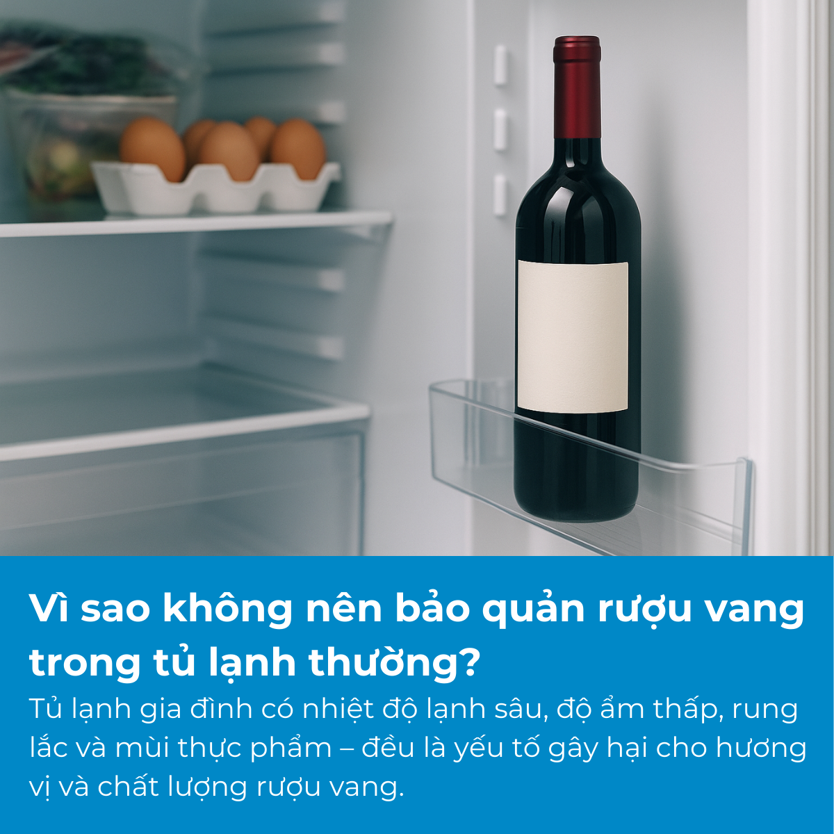 Vì sao không nên bảo quản rượu vang trong tủ lạnh thường?