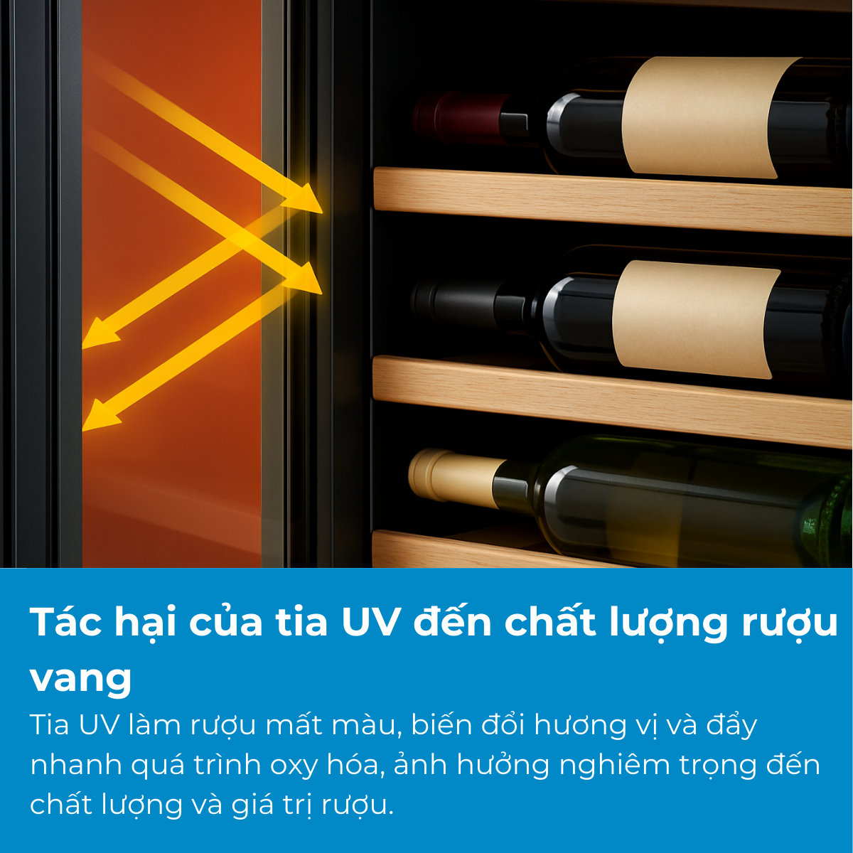 Tác hại của tia UV đến chất lượng rượu vang