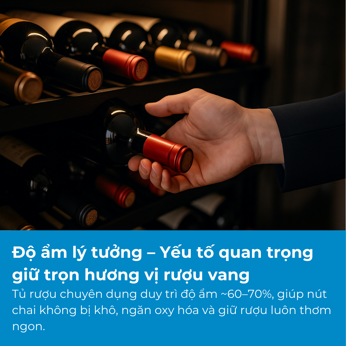 Độ ẩm lý tưởng – Yếu tố quan trọng giữ trọn hương vị rượu vang