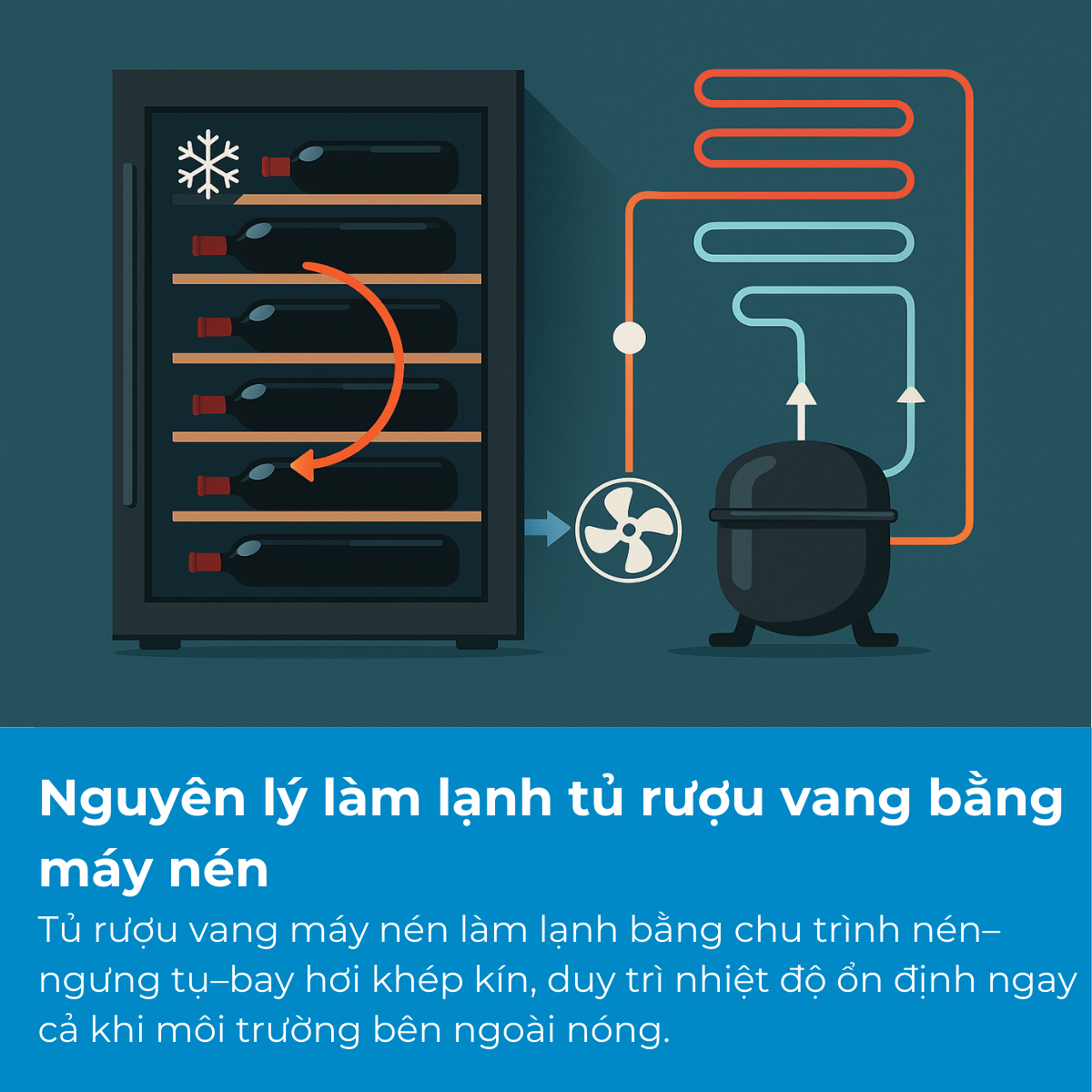 Nguyên lý làm lạnh tủ rượu vang bằng máy nén
