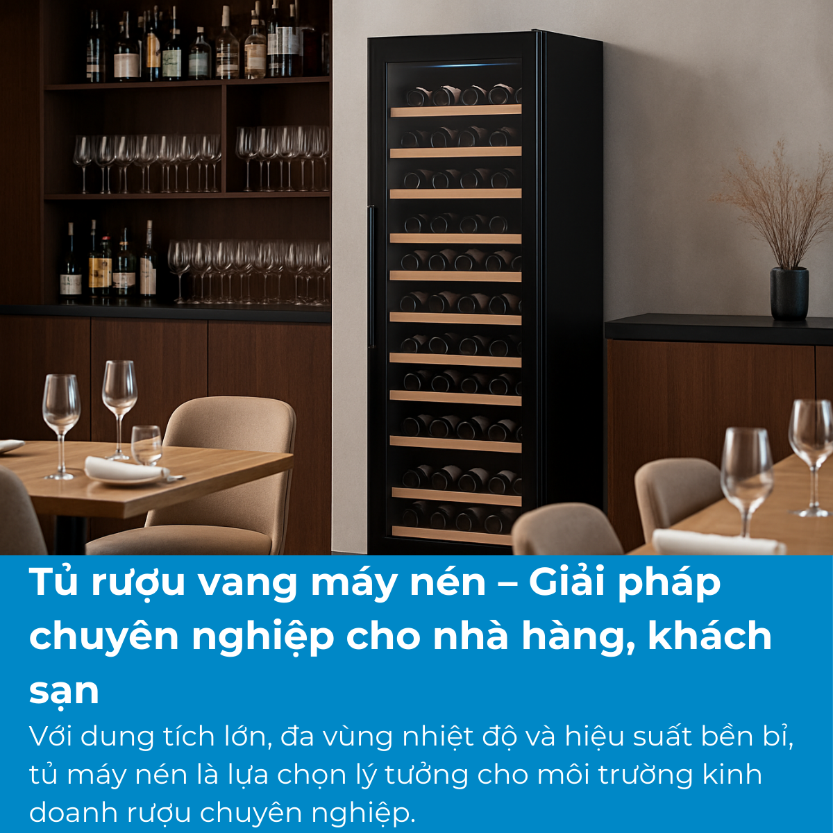 Tủ rượu vang máy nén – Giải pháp chuyên nghiệp cho nhà hàng, khách sạn