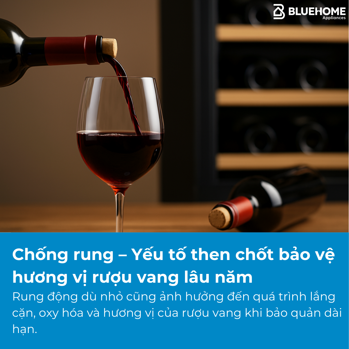 Chống rung – Yếu tố then chốt bảo vệ hương vị rượu vang lâu năm