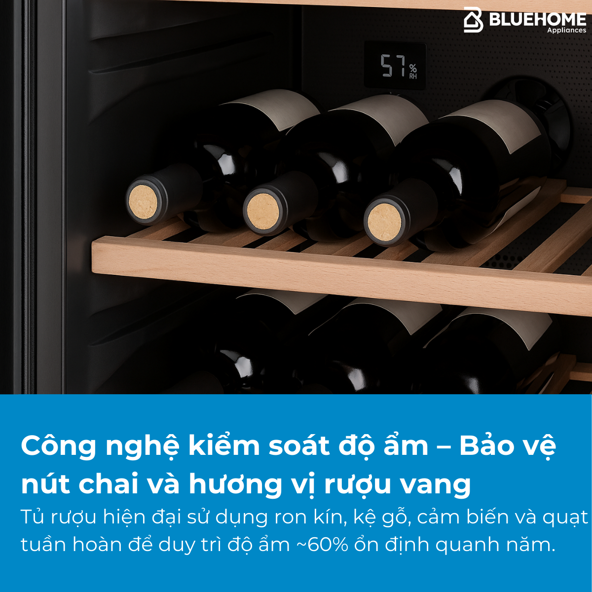 Công nghệ kiểm soát độ ẩm – Bảo vệ nút chai và hương vị rượu vang