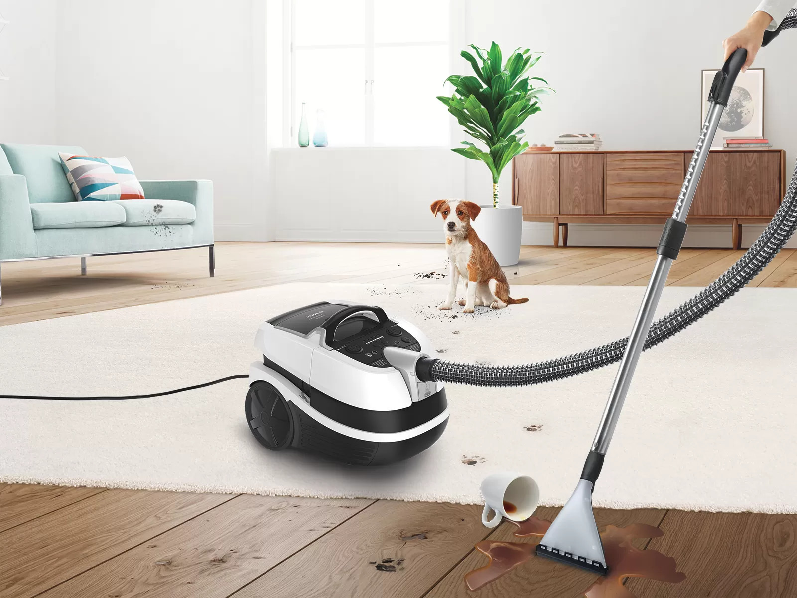 Máy hút bụi khô và ướt Bosch: giặt thảm, hút chất lỏng và hút bụi các loại sàn.