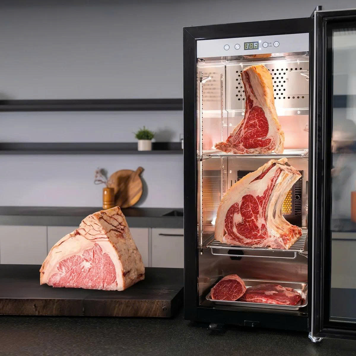 Khoang tủ CASO DryAged Master 63 mở cửa với các phần thịt đặt trên vỉ